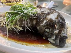 -大东海海鲜酒楼(渔人码头总店)