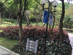 -云溪植物园