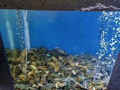 -鲜味食族水产·海鲜餐厅