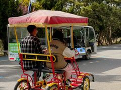 -山东八大碗山东老字号