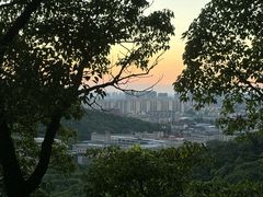 -惠山国家森林公园