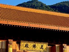 -深圳仙湖植物园