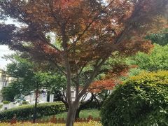 -苏宁易购(上海沪太路二店)