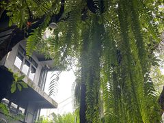 -Fern Forest Cafe