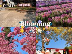 -盈香心动乐园