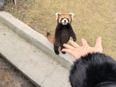 -水上乐园·欢乐世界