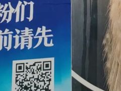 -雀舞云南菜(乐客城店)