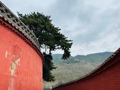 -五台山风景名胜区-罗睺寺