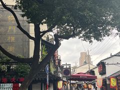-葑门横街