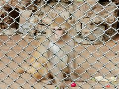 -长白岛森林公园