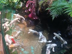 -太平洋海底世界