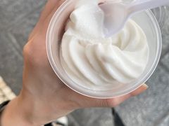 -洪馨椰子