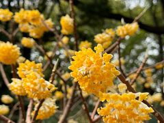 -徐家汇源景区-衡山公园