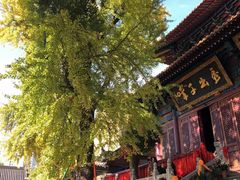 -宝通禅寺
