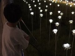 -东大门市场