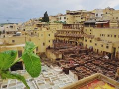 -穆莱拉赫制革厂