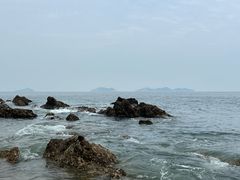 -棒棰岛宾馆景区