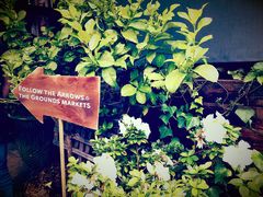 -The Grounds of Alexandria