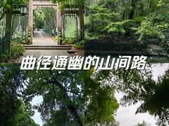 -云栖竹径