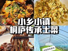 -小乡小镇·传承桐庐土菜·老板亲自烧的菜