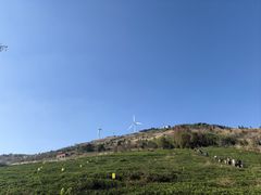 -东白山
