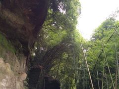 -川西竹海景区