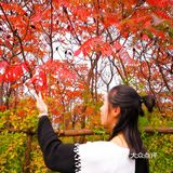 【奥森南园】~ 秋日限定美