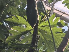 -北京植物园-展览温室