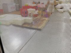 -金鸡岭农贸市场