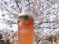 -鸡鸣赐茶(鸡鸣寺路店)