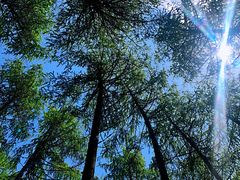 -硗碛藏寨·神木垒景区