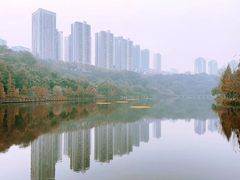-重庆彩云湖湿地公园