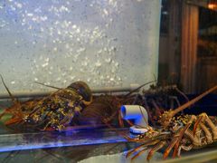 -旅南活海鲜-屏东(墾丁海鮮，海鮮餐廳，墾丁團體合菜，平價熱炒，墾丁熱炒店，活海鮮推薦，在地海鮮餐廳)