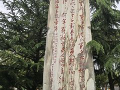 -金城公园
