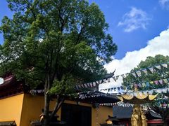 -会龙寺