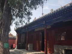 -药王庙(安国市)