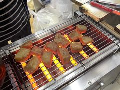-内涵饵块