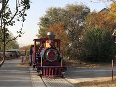 -永定河休闲森林公园
