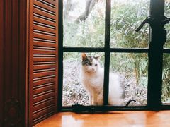 餐厅-马勒别墅饭店(静安寺店)