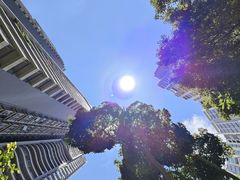 -爱尚养生SPA(银城绿洲店)