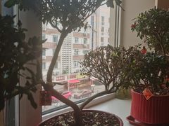 -金阁家常菜(贵阳路店)