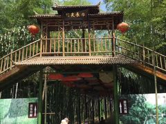 -陶祖圣境风景区