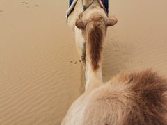 -达拉特旗响沙湾旅游区