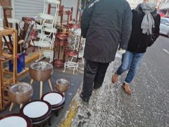 -哈尔滨道外花鸟鱼市场