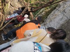 景点-山王坪喀斯特国家生态公园