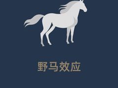 -华东师范大学心理咨询工作室