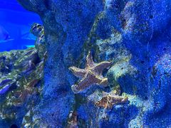-海合安武汉极地海洋公园