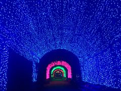 -广东花都香草世界旅游度假区