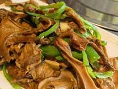 -老号尤兔头(幸福店)