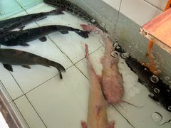 -东北农家院铁锅炖